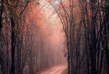 178直播：德拉富恩特：我们还没看到最好的佩德里；不需要梅里诺踢中锋.