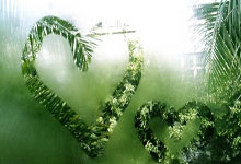 178直播：奇才旧将！库兹马16中8&罗林斯12中8 两人神同步皆得20分5板.