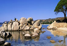 张之臻0-2不敌卢布列夫 止步ATP500鹿特丹站首轮.